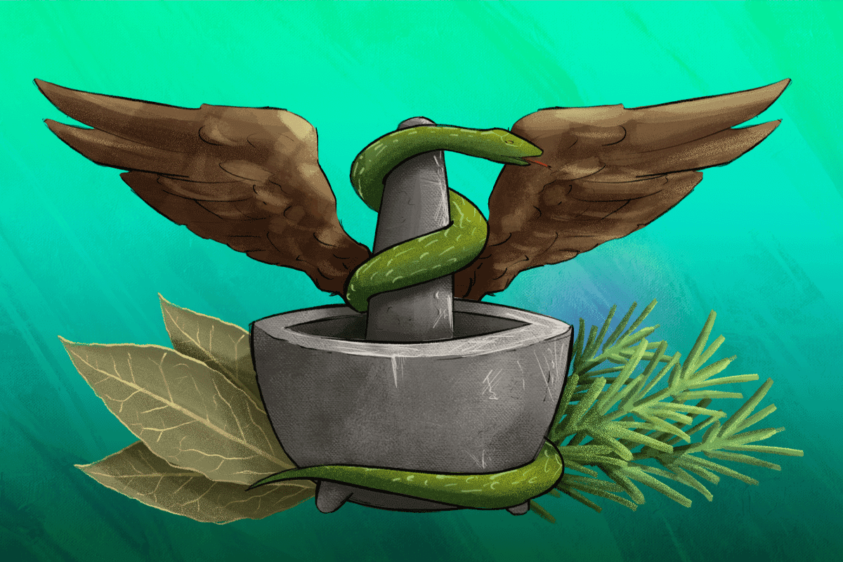 Medicina tradicional mexicana: un legado vivo que se transmite generación tras generación