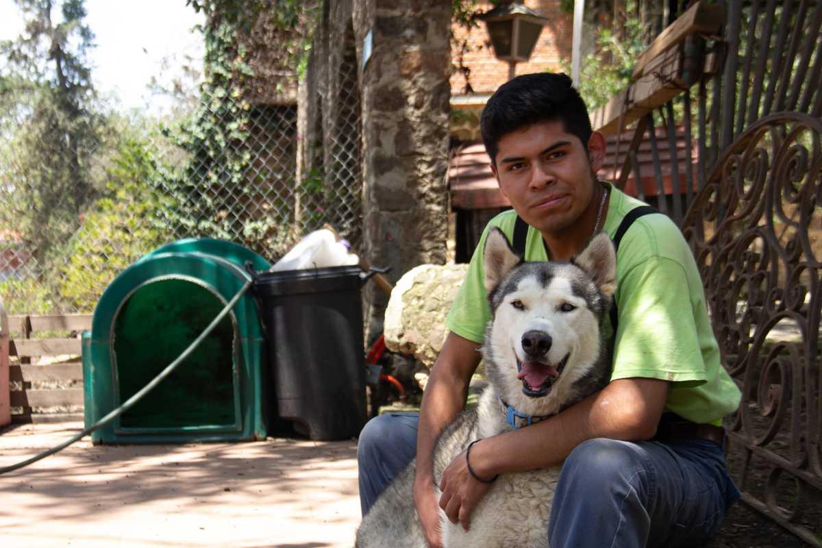 Después de la violencia: así es la rehabilitación de perros víctimas de maltrato extremo