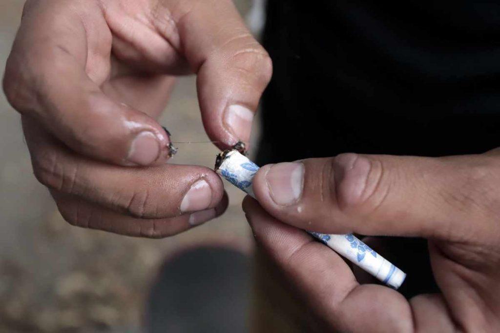 Delegan encuesta de consumo de drogas a Conahcyt; llevan tres meses sin dar detalles del proceso 