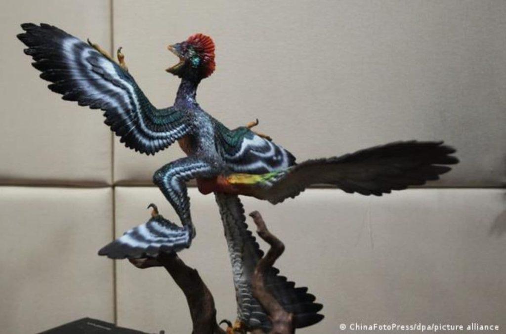 Hallan en China fósil de "extraño" dinosaurio del Jurásico parecido a un pájaro