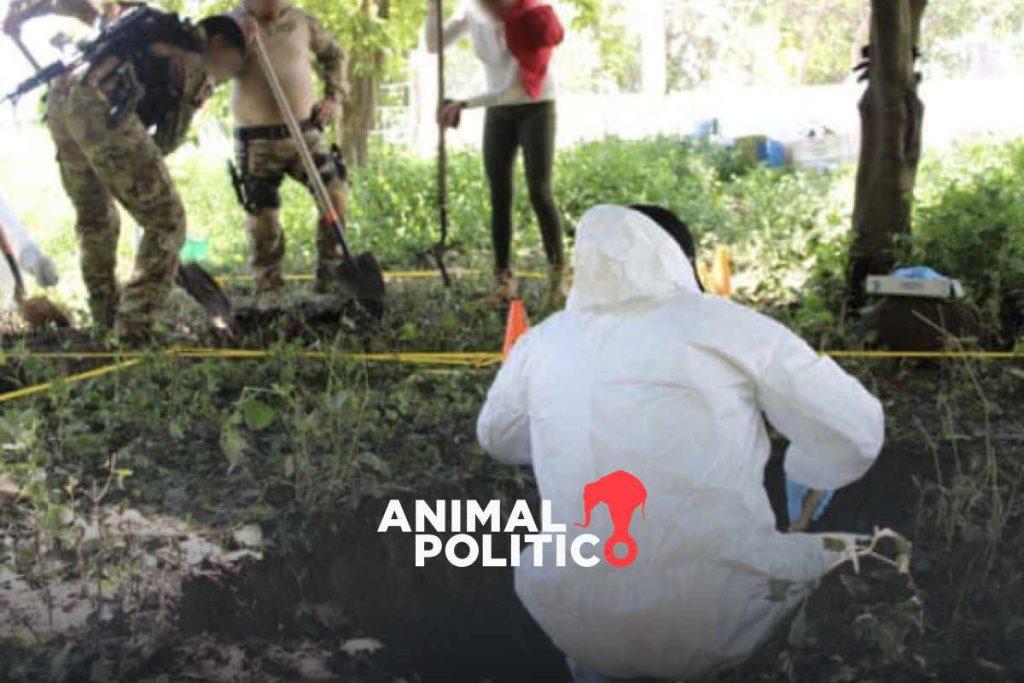 Encuentran 11 cuerpos dentro de siete fosas clandestinas en Tecomán, Colima