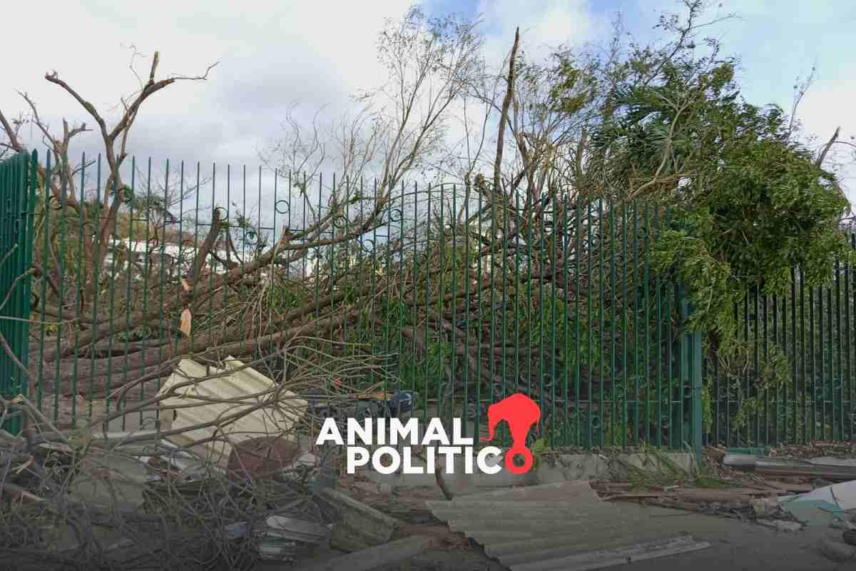 El Parque Papagayo, principal pulmón de Acapulco, quedó devastado tras el paso del huracán Otis