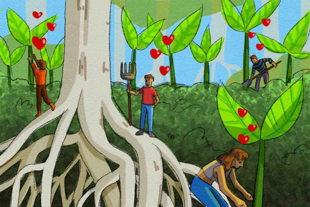 Mangle rojo, la planta milenaria amenazada que estudiantes de Chiapas conservan en un invernadero