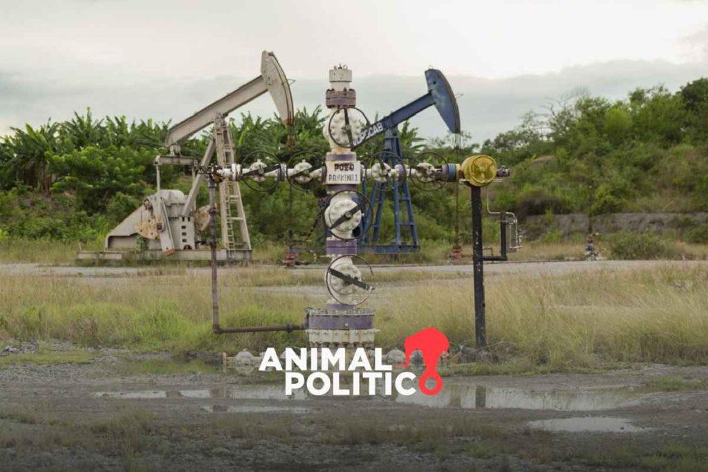 Más de 38 mil parcelas de Sembrando Vida están en riesgo por el fracking; Veracruz e Hidalgo los más afectados
