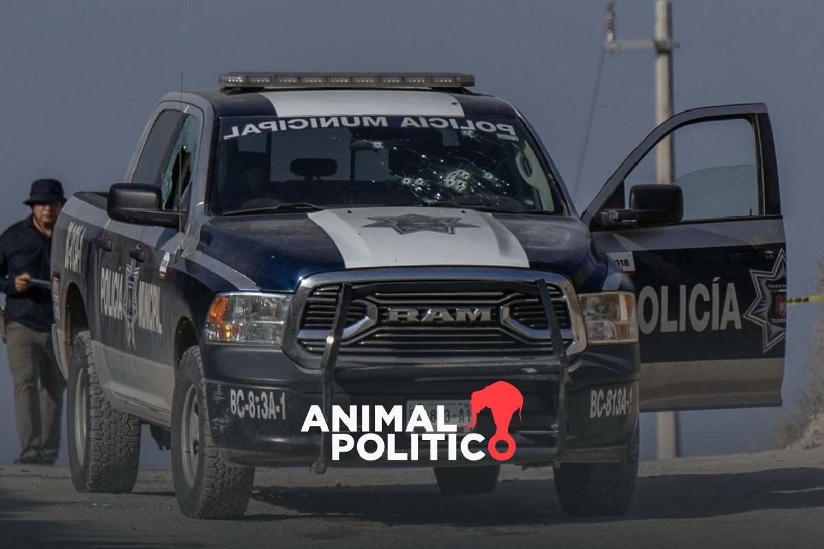 En 2023 fueron asesinados 403 policías; cifra no ha bajado de 400 en los cinco años del gobierno de AMLO