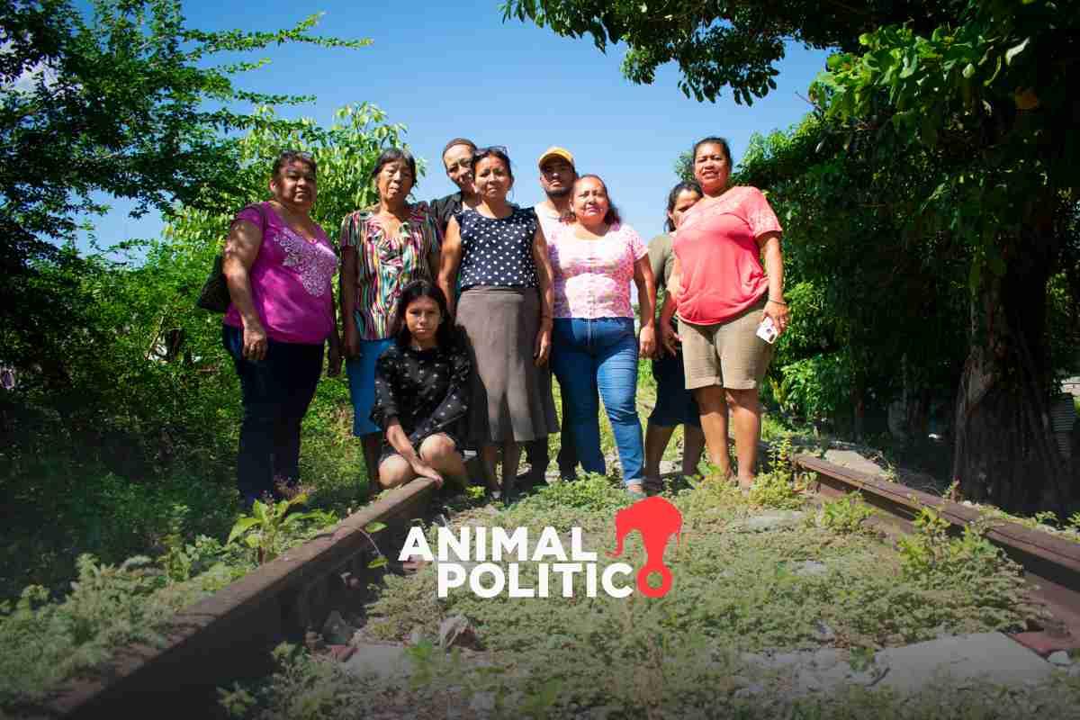 Corredor Interoceánico: desalojan a familias a cambio de 36 mil pesos por tren que construye Semar en Chiapas