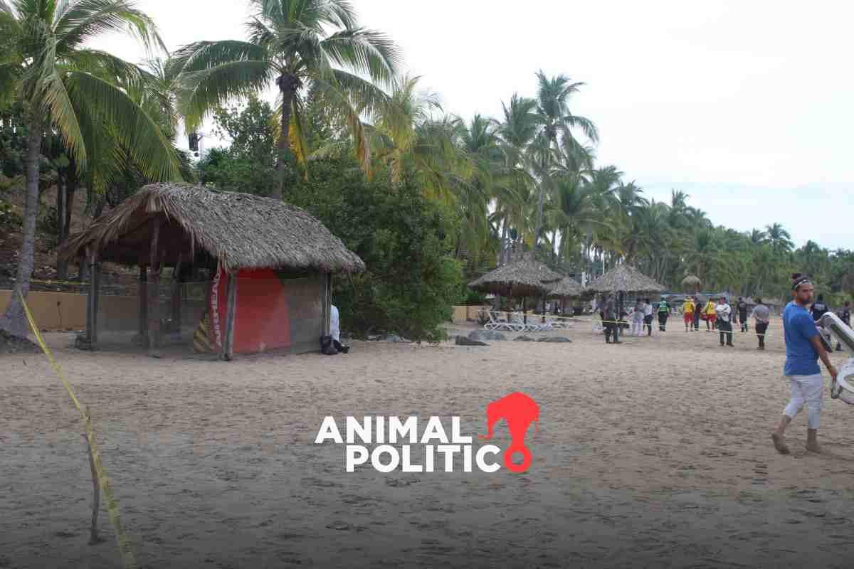Muere turista por ataque de tiburón en Playa Quieta en Ixtapa Zihuatanejo, Guerrero