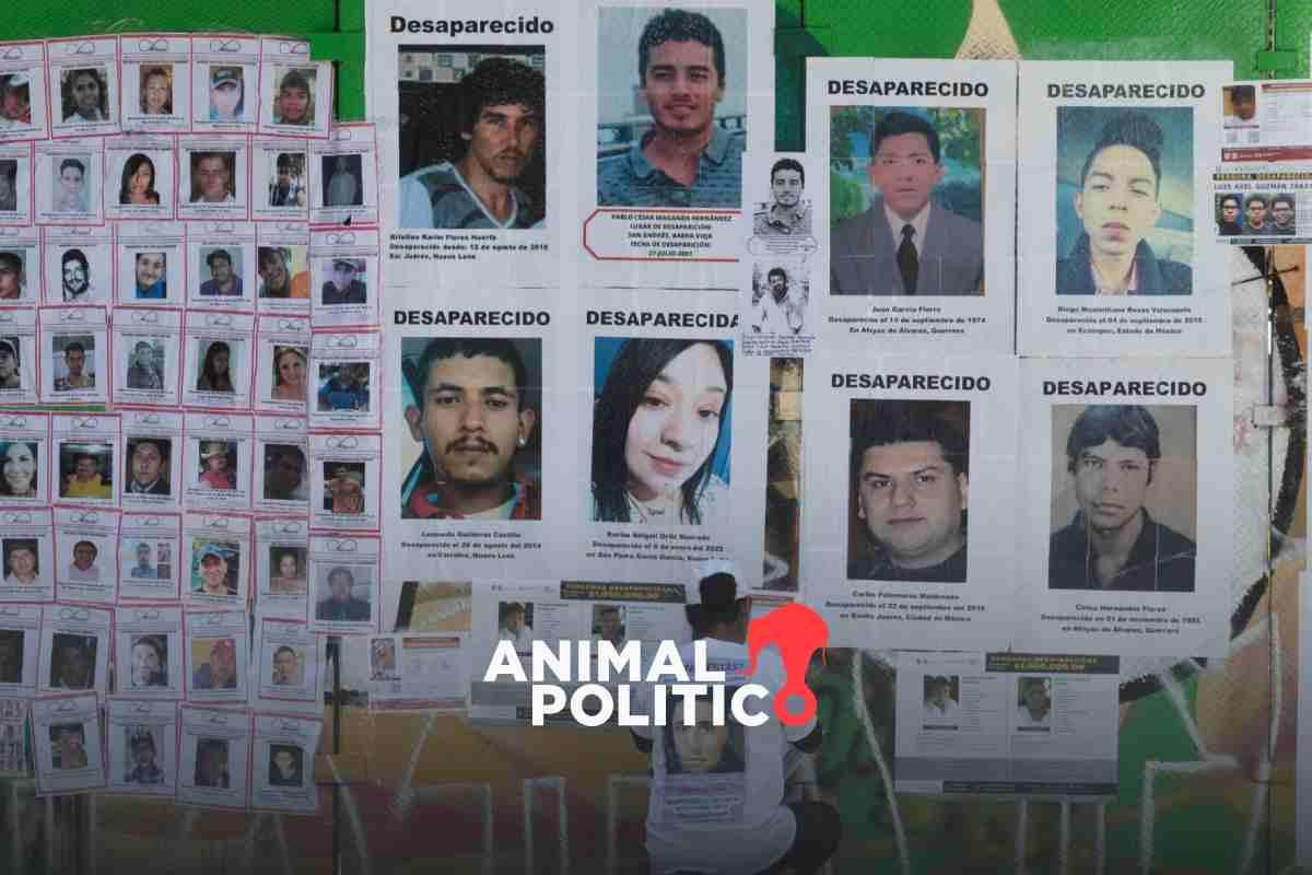 Cuatro comisiones estatales de búsqueda desconocen información del “censo casa por casa” de personas desaparecidas de AMLO