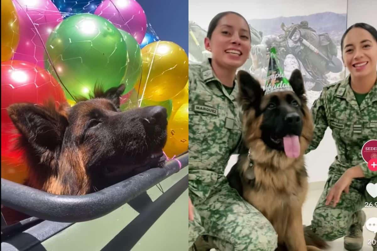 Festejan primer cumpleaños de Arkadas, perro rescatista, con fiesta en Campo Marte
