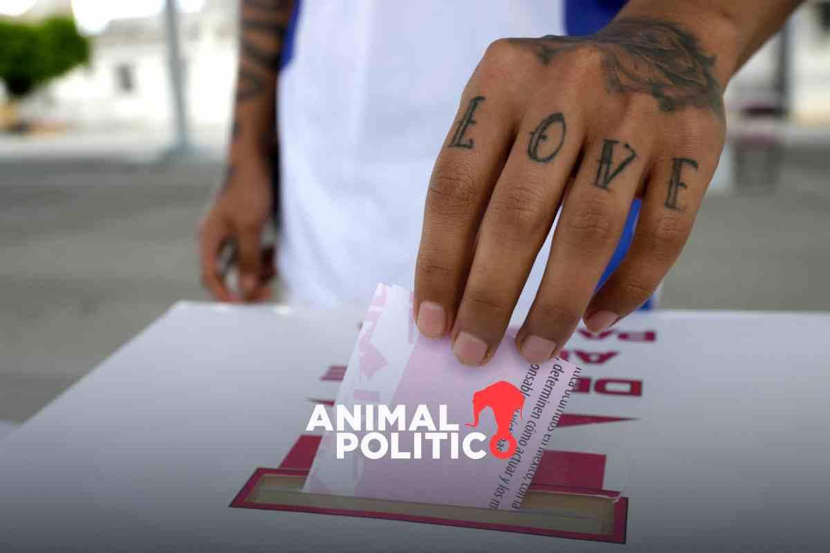 Arranque de campañas: elecciones 2024, las más grandes (y más violentas) de la historia llegan a su etapa crucial