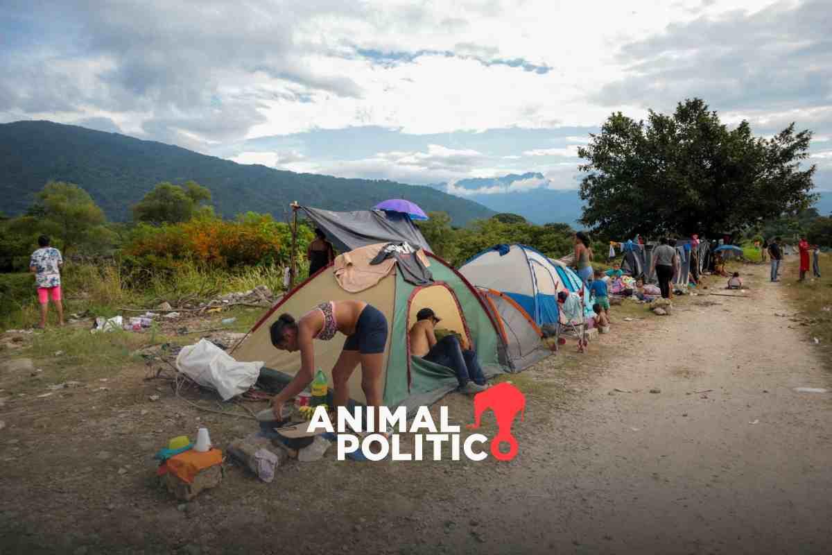Autoridades abandonan a menores migrantes en “campamentos infrahumanos” en frontera sur tras ley que impide detenerlos