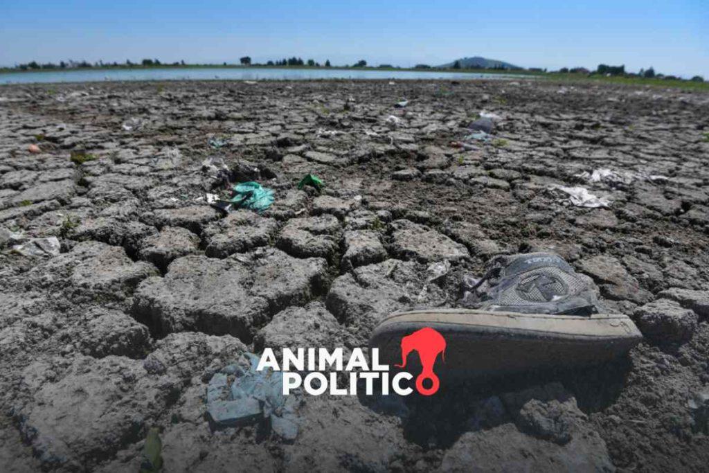 60% del territorio nacional está en condiciones de sequía, advierte Conagua; en 395 municipios es extrema