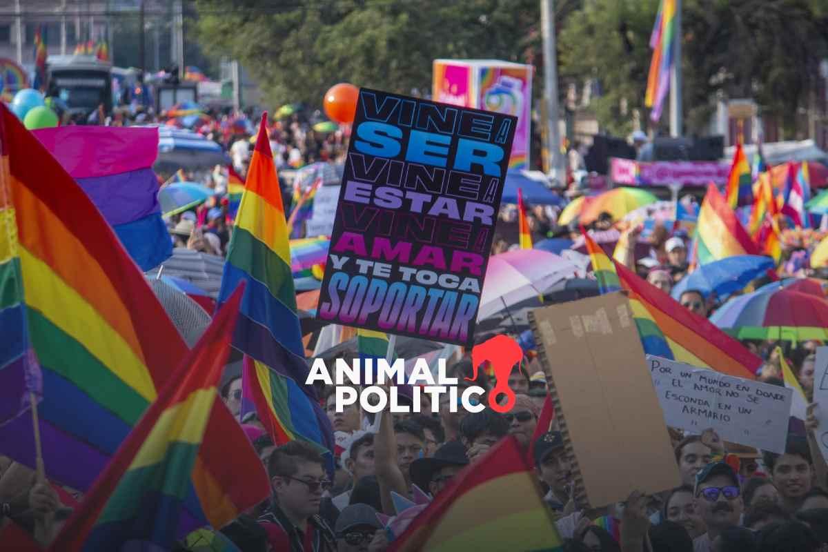 Diputados prohíben terapias de conversión pese a que el PAN intentó posponer la discusión