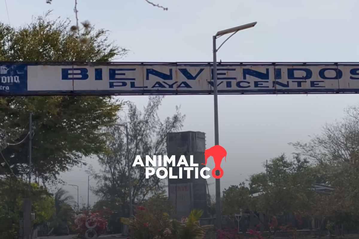 Localizan sin vida a ocho migrantes chinos en Playa Vicente en Oaxaca; hay un sobreviviente