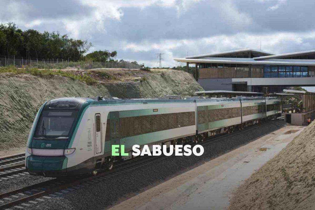 7 millones de árboles talados para construir el Tren Maya, reconoce el gobierno; tramo 5, el de más deforestación