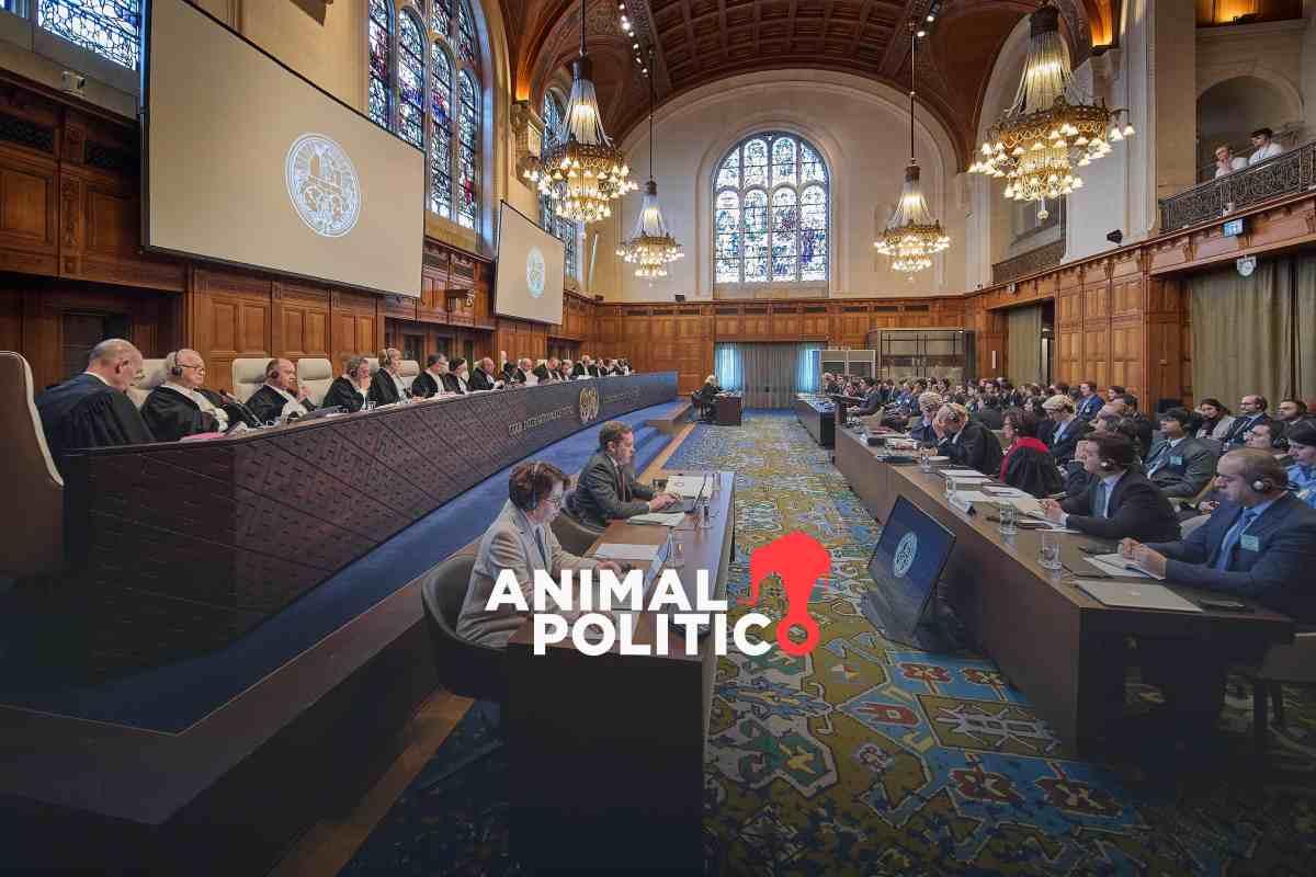 Corte Internacional de Justicia fija fechas para audiencias por denuncia de México a Ecuador por irrupción de embajada