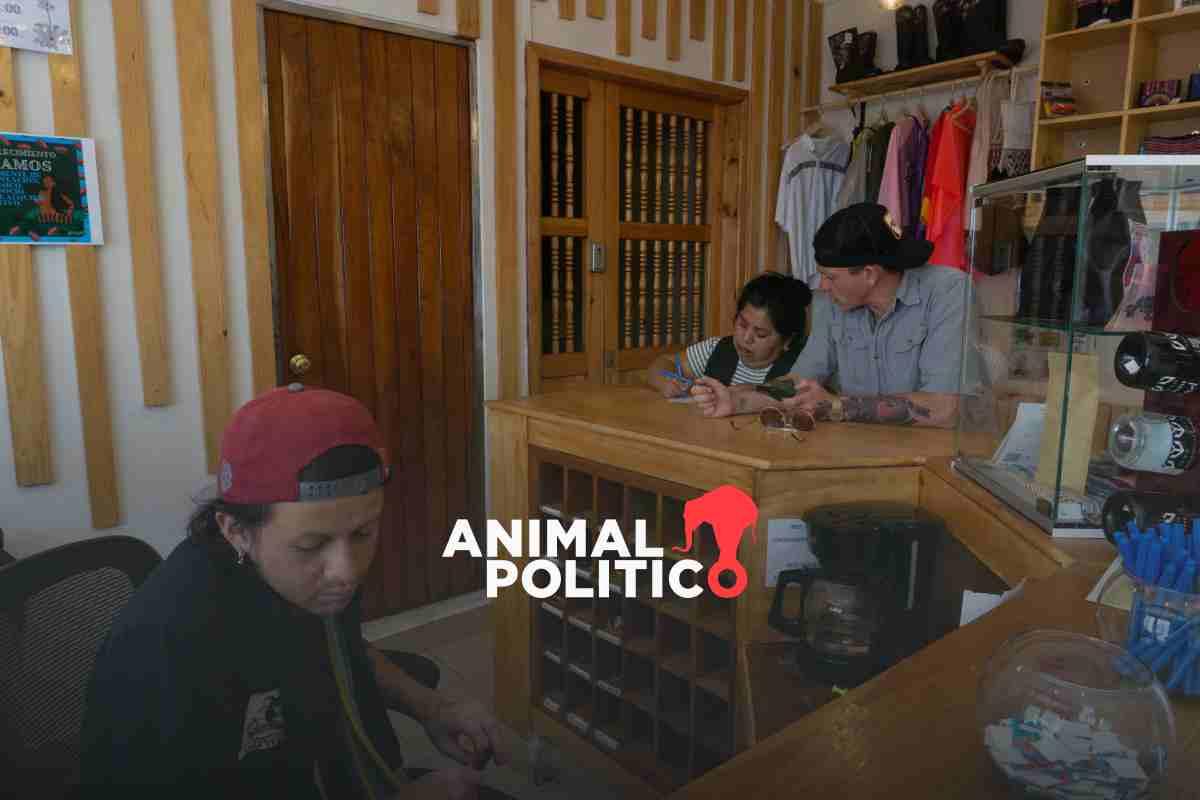 Casa Venus, un hotel que emplea a personas LGBT y desafía la transfobia y discriminación en San Cristóbal de las Casas