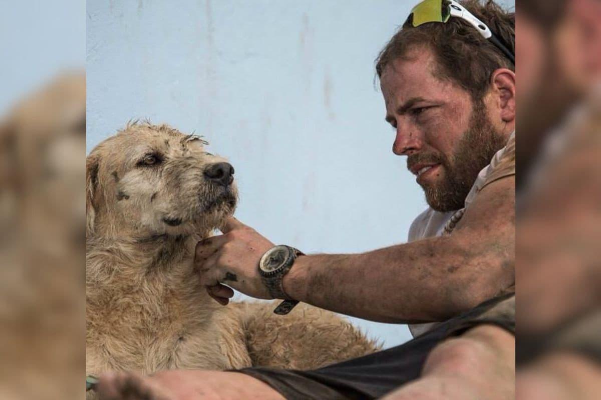 La conmovedora historia real de ‘Arthur the King’, la película con Mark Wahlberg