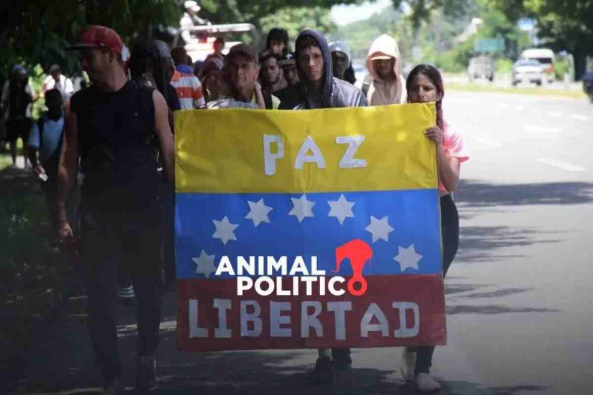 “Nos bajaron del autobús con disparos al aire”; migrantes venezolanos en México, blanco de secuestros por rescates en dólares