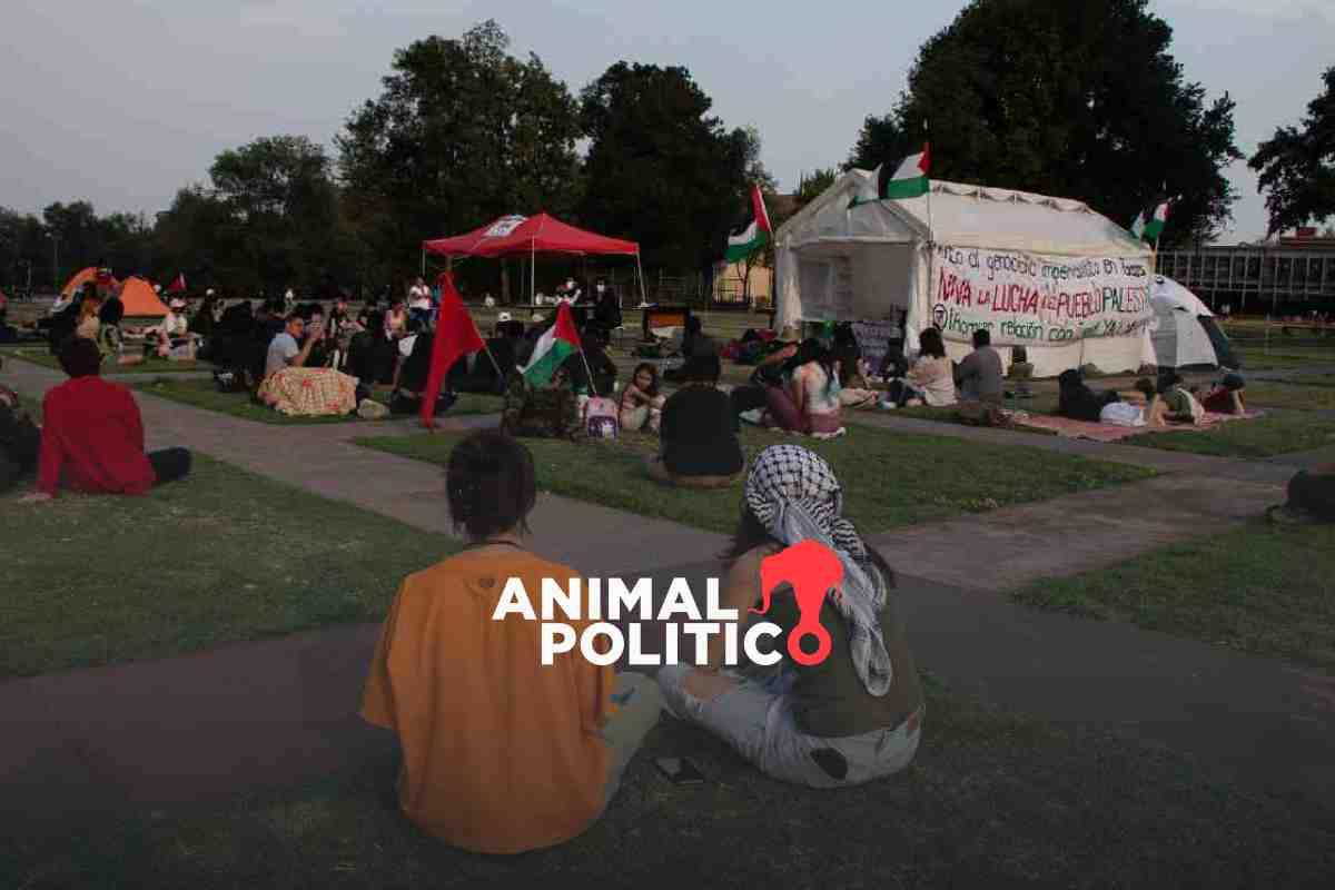 “No podemos ignorar el genocidio en Palestina”, voces de la acampada UNAM