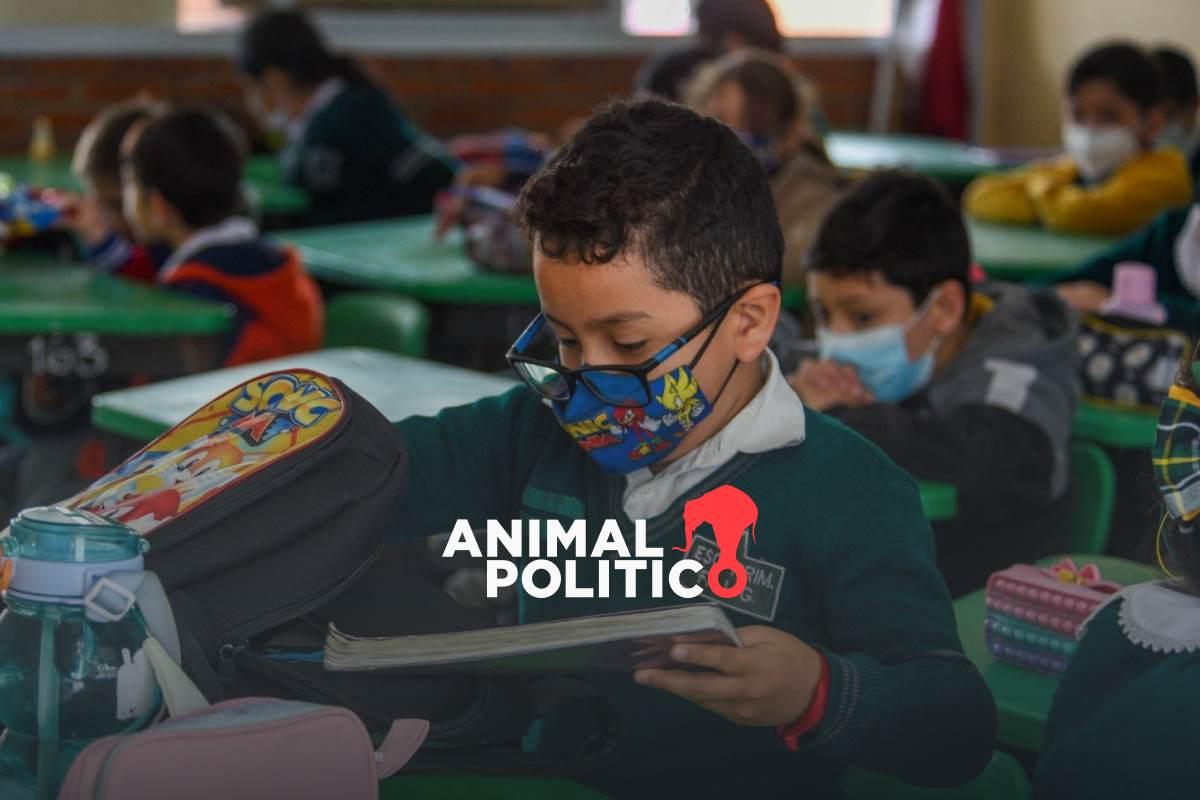 Por ola de calor, Nuevo León y San Luis Potosí ajustan horario escolar; Campeche suspende clases