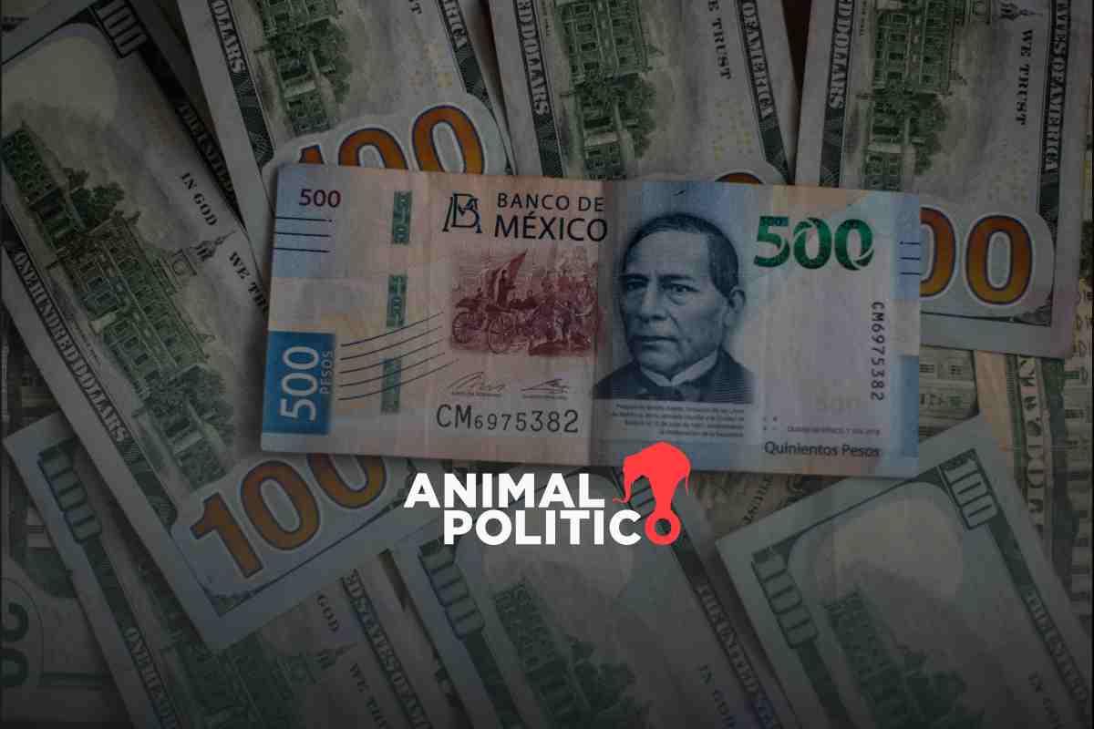 Peso cae 2% tras anuncio de que el plan C de AMLO se discutirá en septiembre