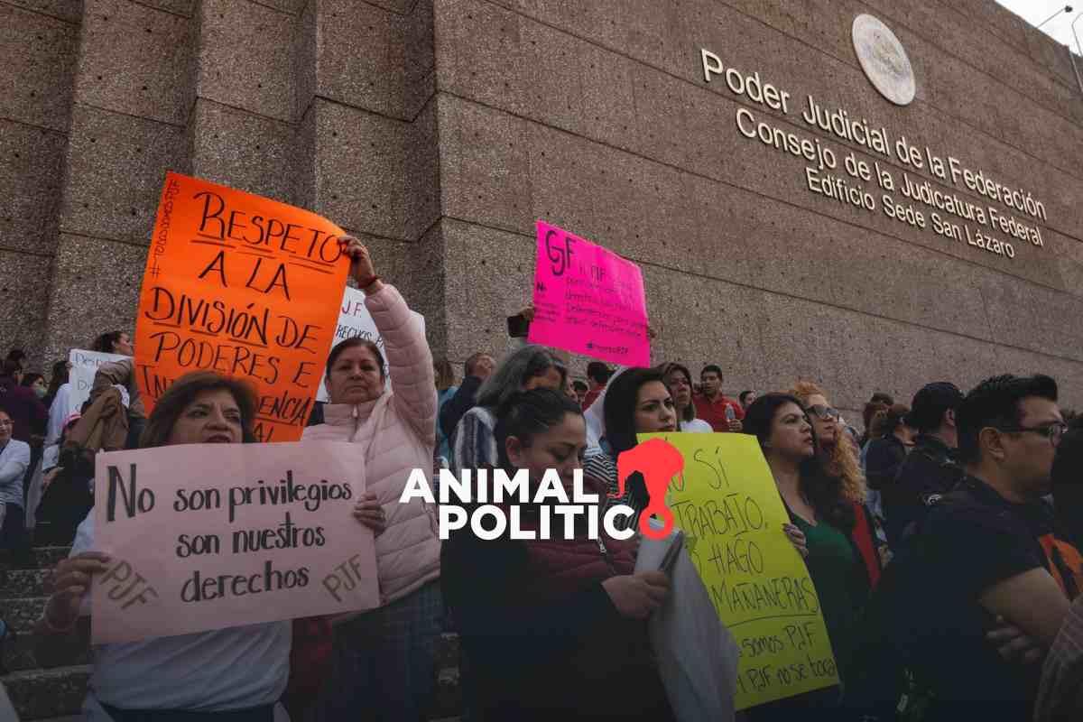 Reforma judicial pone en riesgo 127 mil plazas; tampoco contempla indemnizaciones a más de seis mil