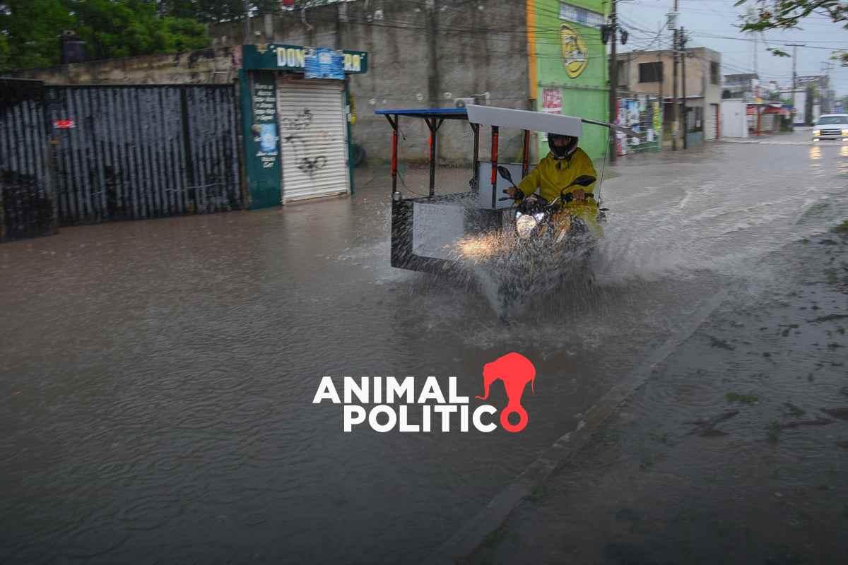 Tormenta Alberto se degrada a depresión tropical; dejó al menos cinco muertos en Nuevo León