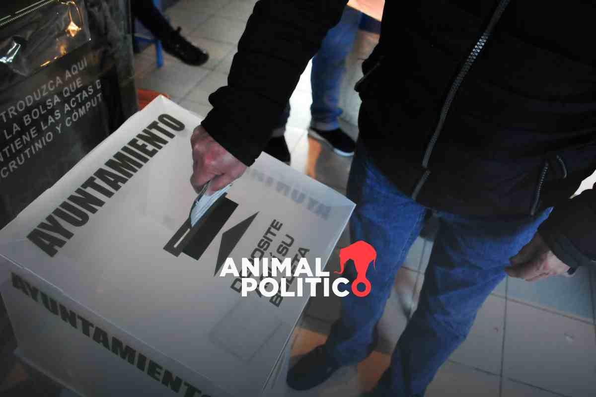 Votaciones atípicas: en 14 municipios candidatos ganaron con 80% de votos y en 46 con más de 65%; Morena gobernará 39