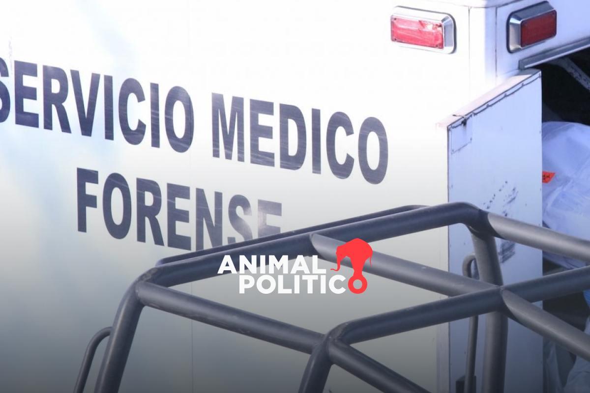 Fiscalía de Zacatecas cesa a dos funcionarios tras denuncia de madre buscadora por retraso en Semefo