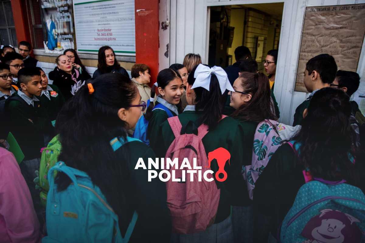 Resultados de asignación a secundaria 2024: cuándo salen, cómo consultarlos y qué hacer si se te pasó la preinscripción