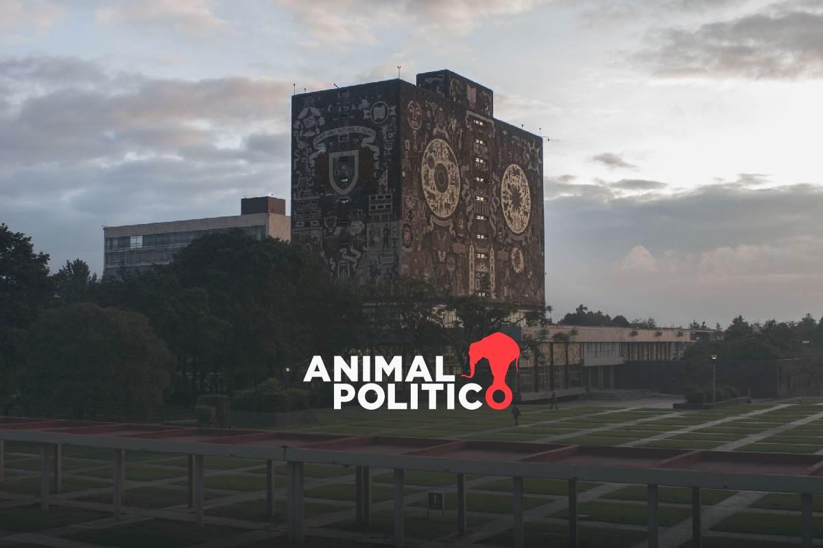 ¡Ya salieron! ¿Cómo consultar los resultados de la UNAM a nivel licenciatura 2024?