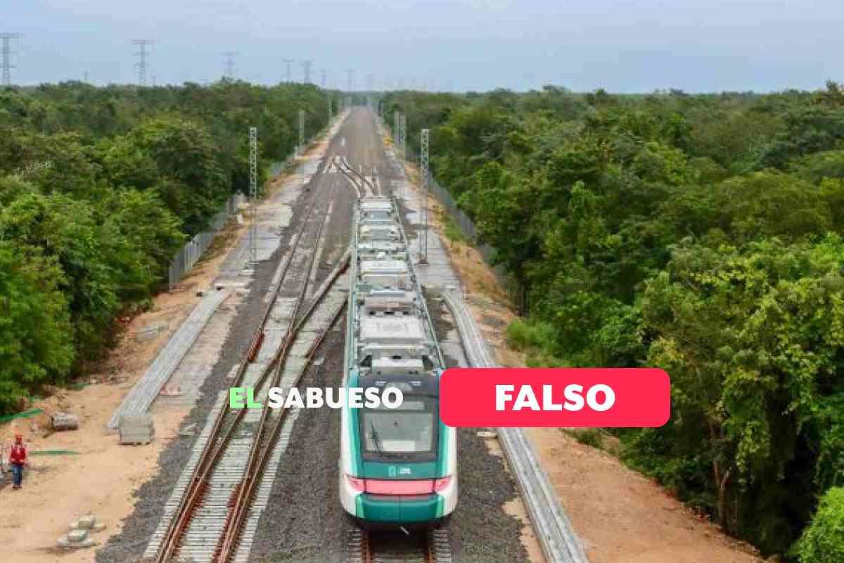 Millones de árboles talados, cenotes dañados, pero AMLO dice que ‘cuidaron’ el medio ambiente con el Tren Maya