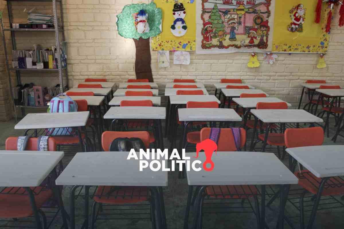 Las políticas de AMLO no revirtieron la deserción escolar ni el rezago educativo, afirman organizaciones
