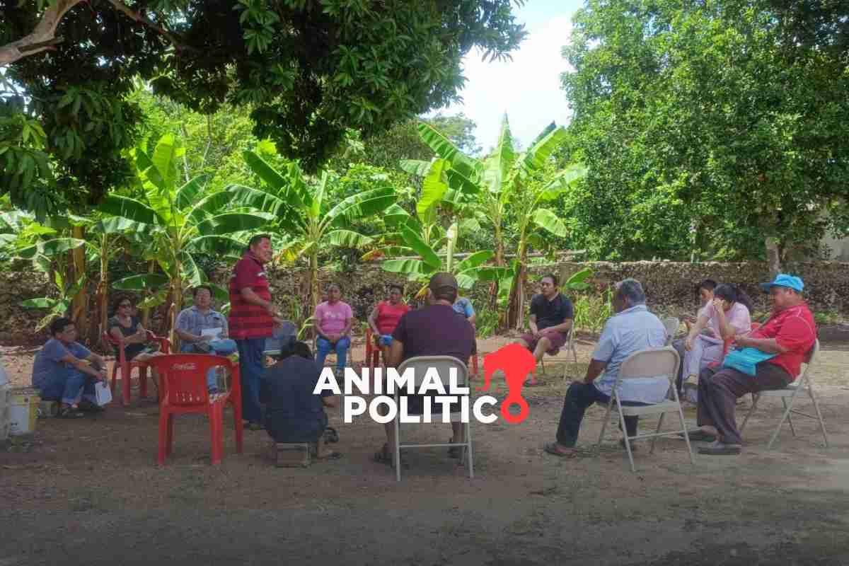 Resistencia maya al despojo: el complejo panorama para la transición energética en Yucatán