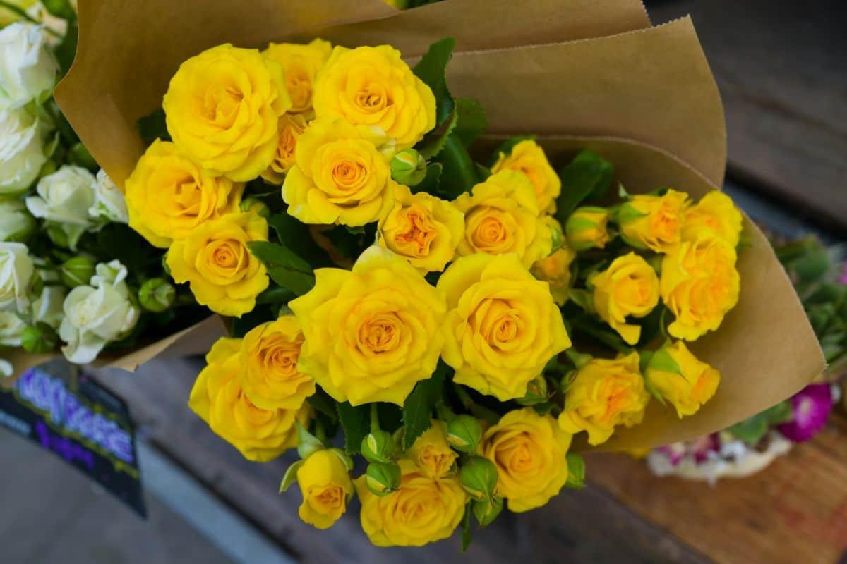 ¿Por qué se regalan flores amarillas el 21 de septiembre?