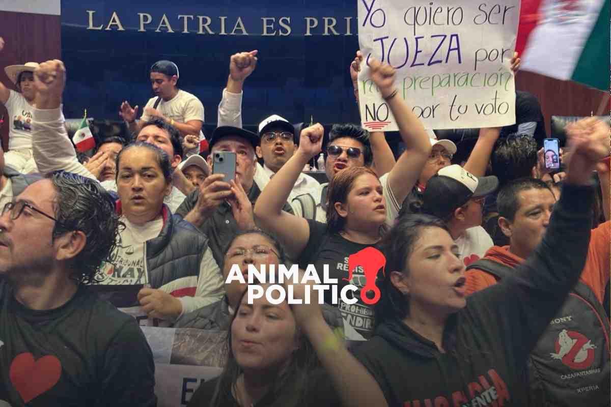 ‘Toma’ insólita del Senado: la protesta contra reforma judicial pasó de la calle al salón de plenos