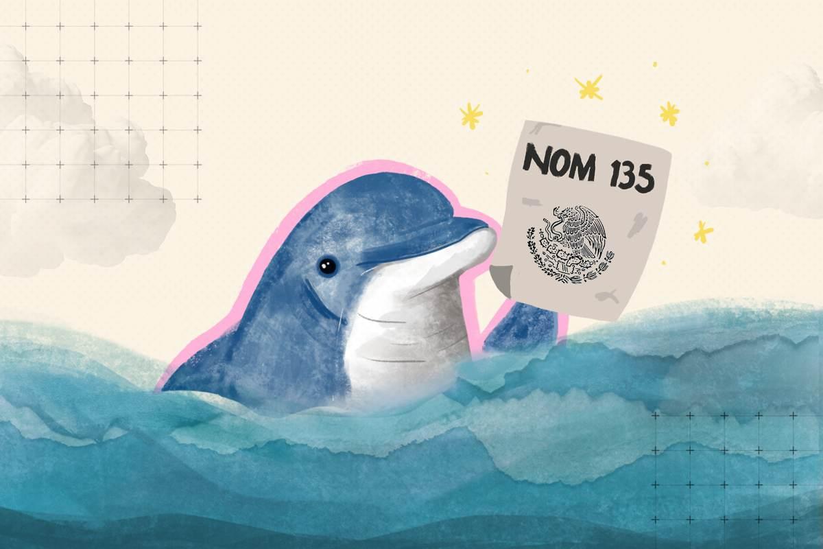 ¡No más delfinarios! Animalistas exigen justicia y trato digno para los mamíferos marinos en México