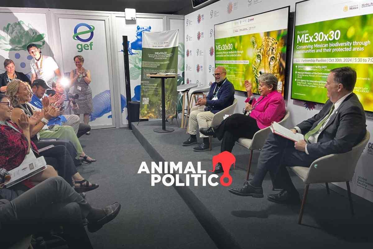 COP16: México inaugura el fondo global de biodiversidad con un financiamiento para 5 áreas naturales