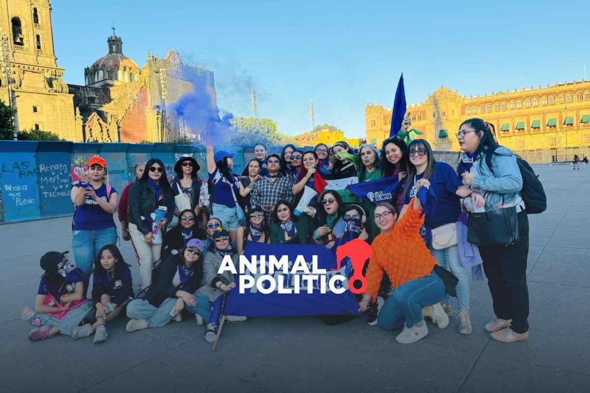 “Diego N libre ¡no!”: estudiantes del IPN y Olimpia Coral marchan por sentencia por violencia digital