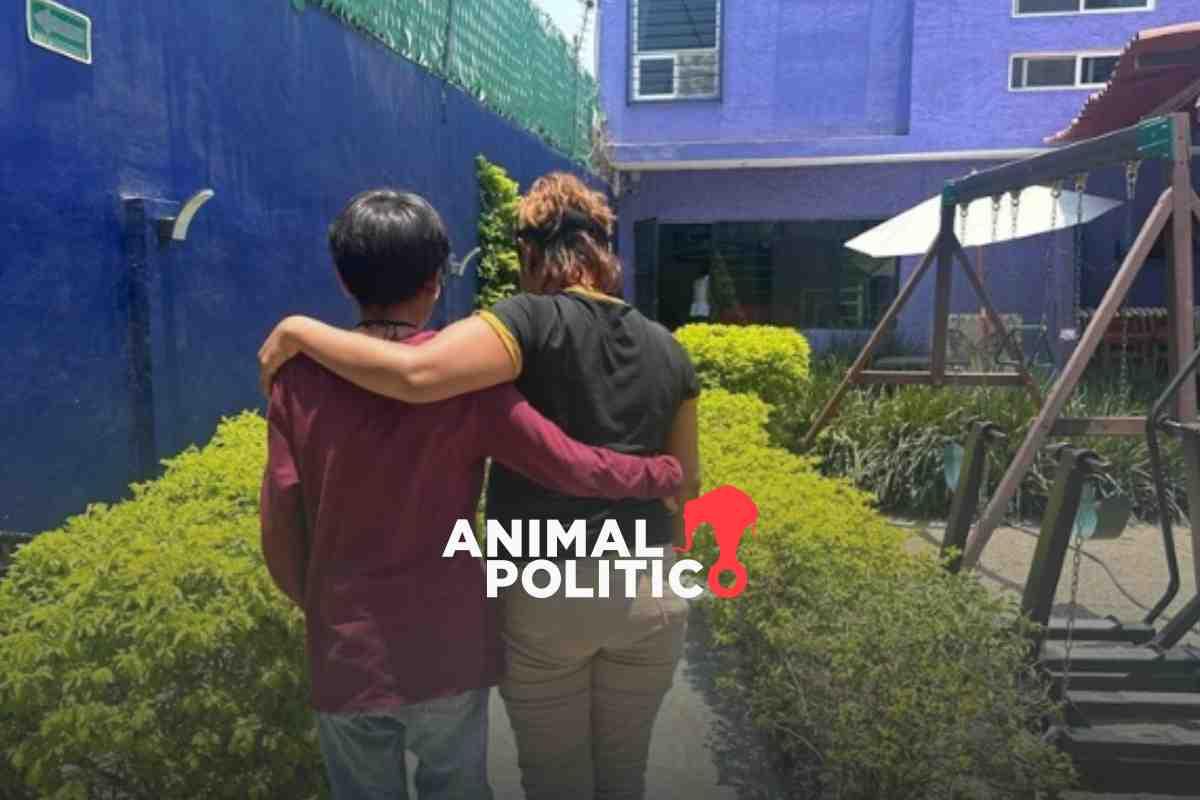 “¿Cuánto cuesta la vida de una mujer?”: Hacienda plantea recorte a presupuesto de refugios para víctimas; exigen revertirlo