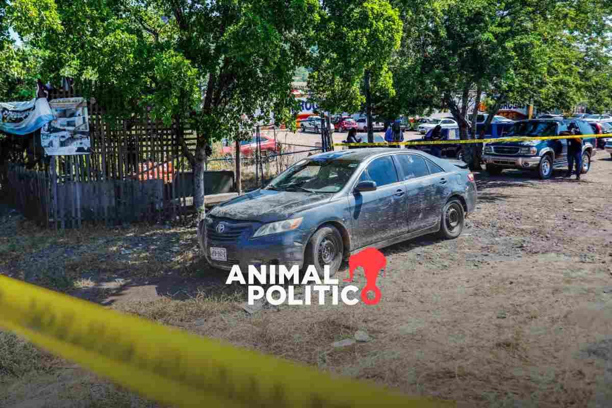 Violencia en Sinaloa cumple dos meses: suman 359 homicidios y 426 personas desaparecidas