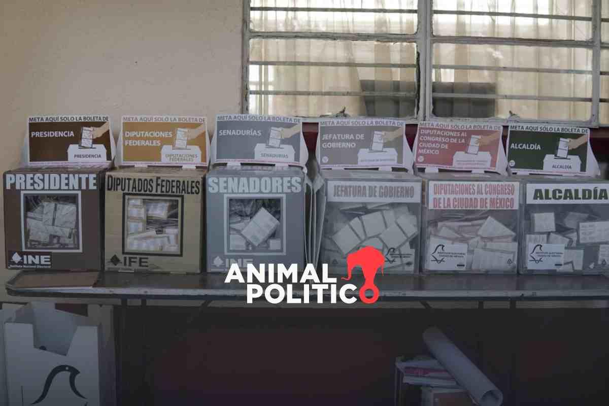 Con 61.53 % de participación, jóvenes de 18 años se ubican entre los grupos de edad que más votaron en elección de 2024