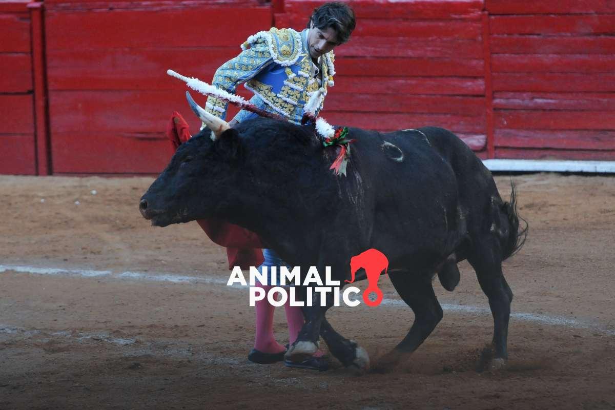 Regresan corridas de toros a Guadalajara, Jalisco, tras estar suspendidas por orden judicial desde 2023