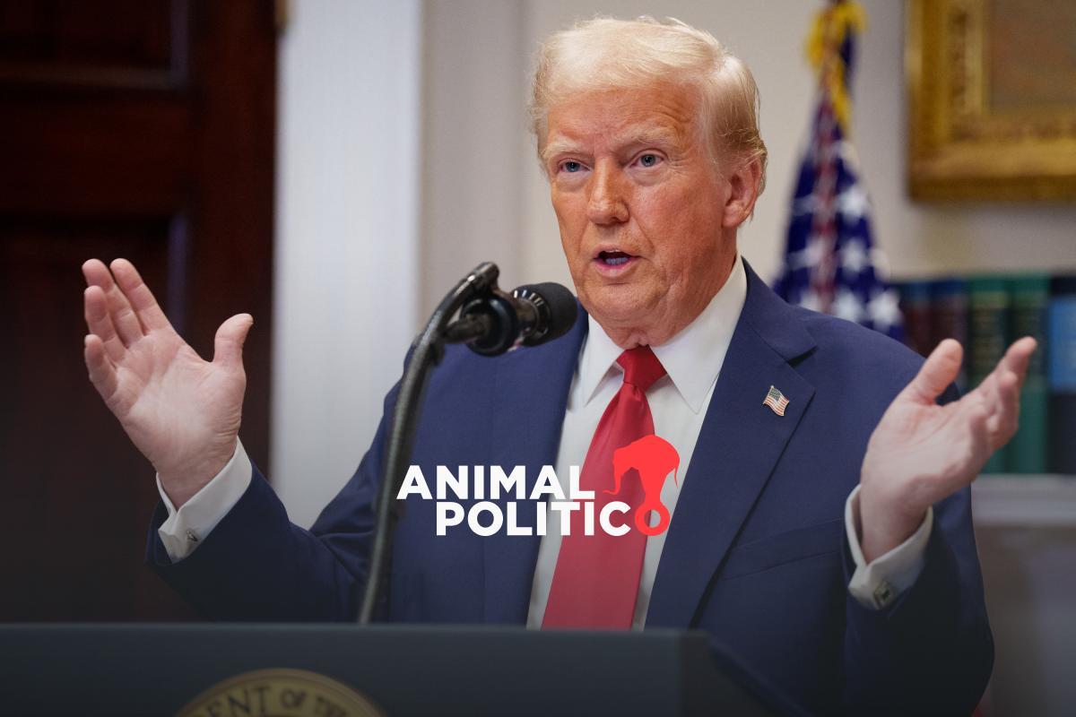 Trump atribuye accidente aéreo en Washington a programas de diversidad de Biden y Obama