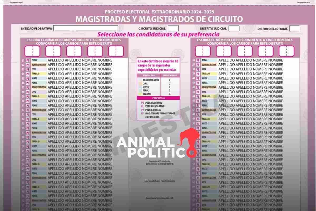 Ilegibles y confusas: el INE aprueba las boletas más complicadas de la historia, para la elección judicial