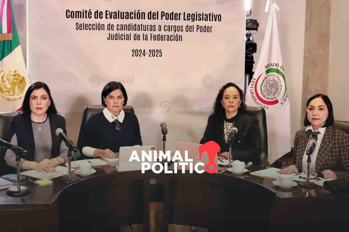 Legislativo tiene 17 días para entrevistar a más de 10 mil aspirantes a cargos judiciales; en primer día hace 41 evaluaciones