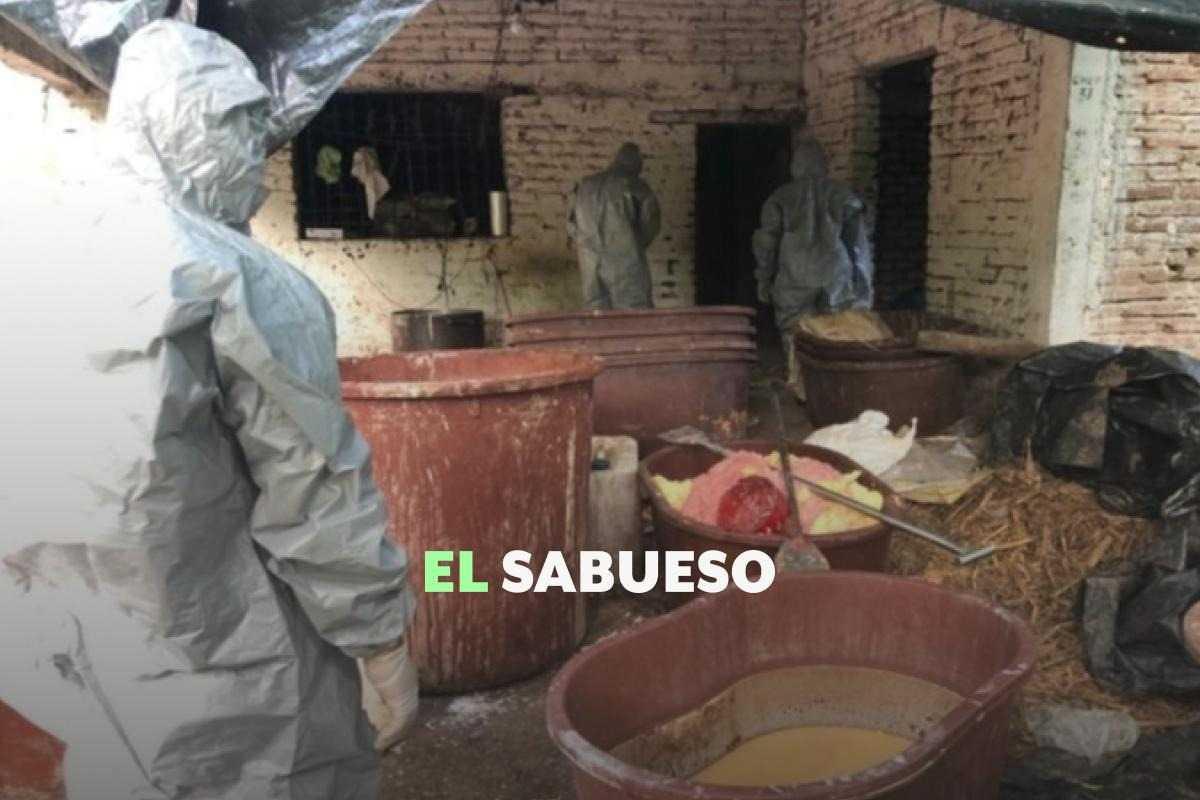 En seis años, autoridades en México detectaron más de 2,000 laboratorios para producir drogas, incluyendo 26 de fentanilo