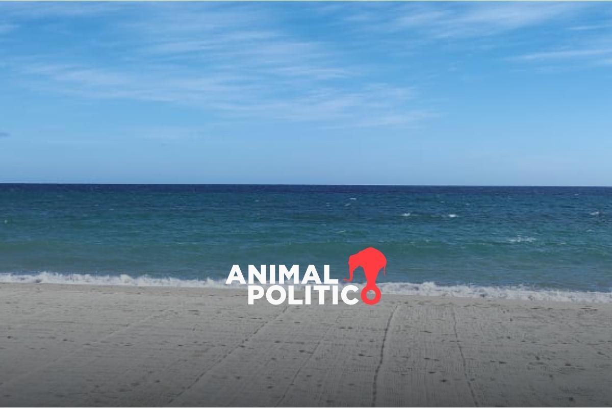 Semarnat suspende provisionalmente proyectos turísticos de “La Abundancia” y “Baja Bay Club” en Cabo Pulmo, Baja California Sur