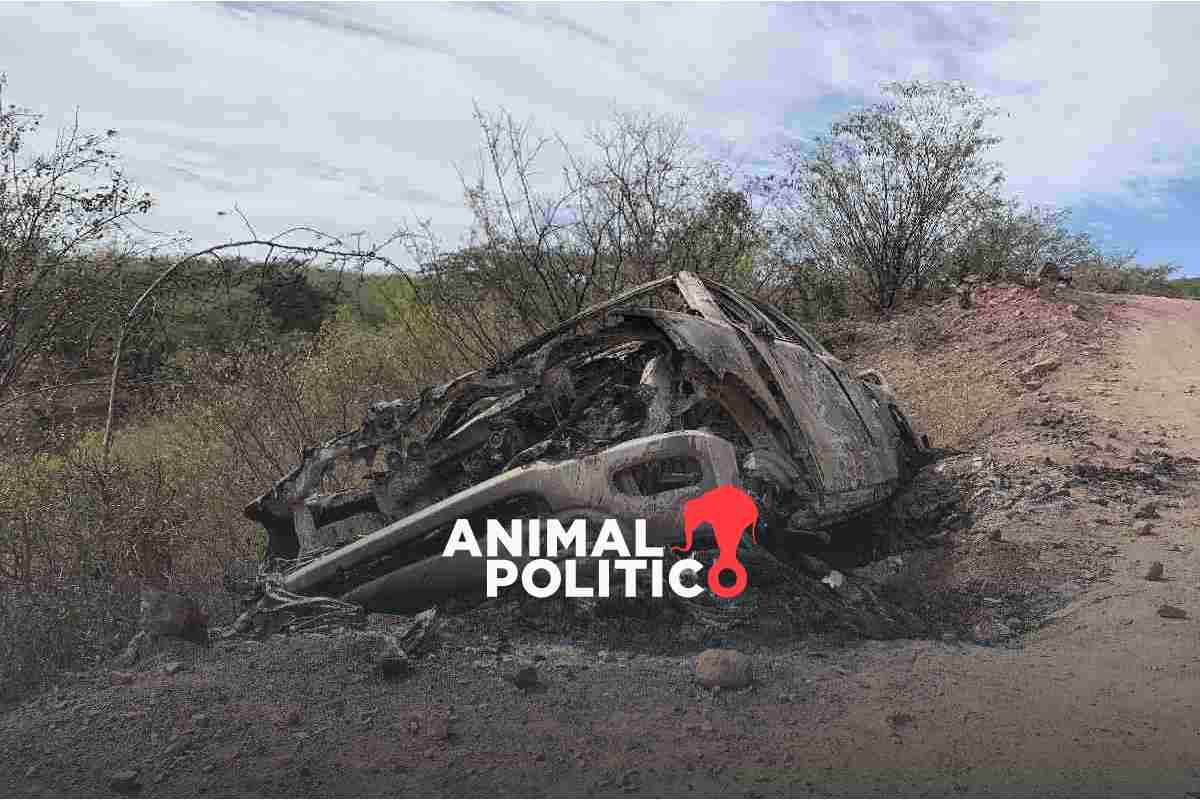 “Sobrevivimos a una mina”: obligan a familias a desplazarse con ‘siembra’ de explosivos terrestres en Michoacán
